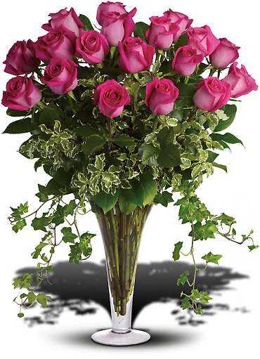 Dreaming in Pink - 18 Long Stemmed Premium Pink Roses