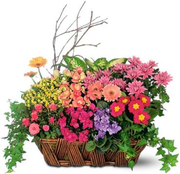 Deluxe European Garden Basket