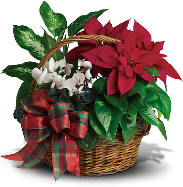 Holiday Homecoming Basket