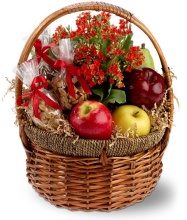 Health Nut Basket