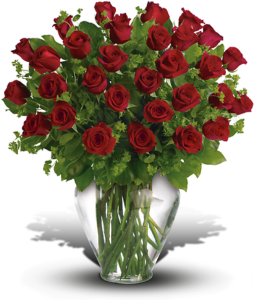 My Perfect Love - 2 Dozen Long Stemmed Premium Red Roses