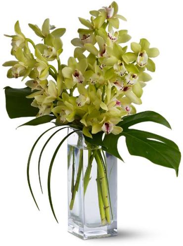 Teleflora\'s Orchid Elegance
