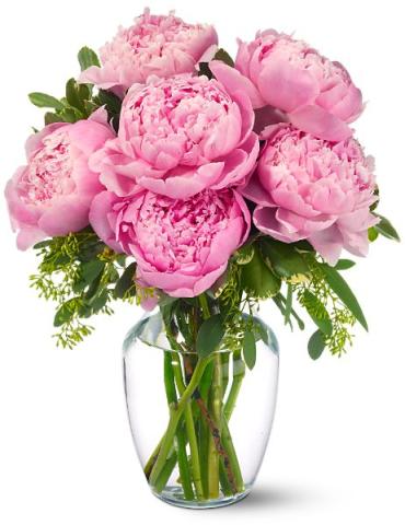 Peonies in Pink